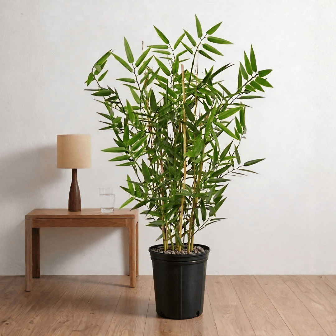 Artificial Japanese Bamboo UV - Bostan