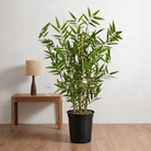 Artificial Japanese Bamboo UV - Bostan