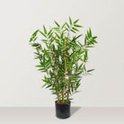 Artificial Japanese Bamboo UV - Bostan Al Jazeera