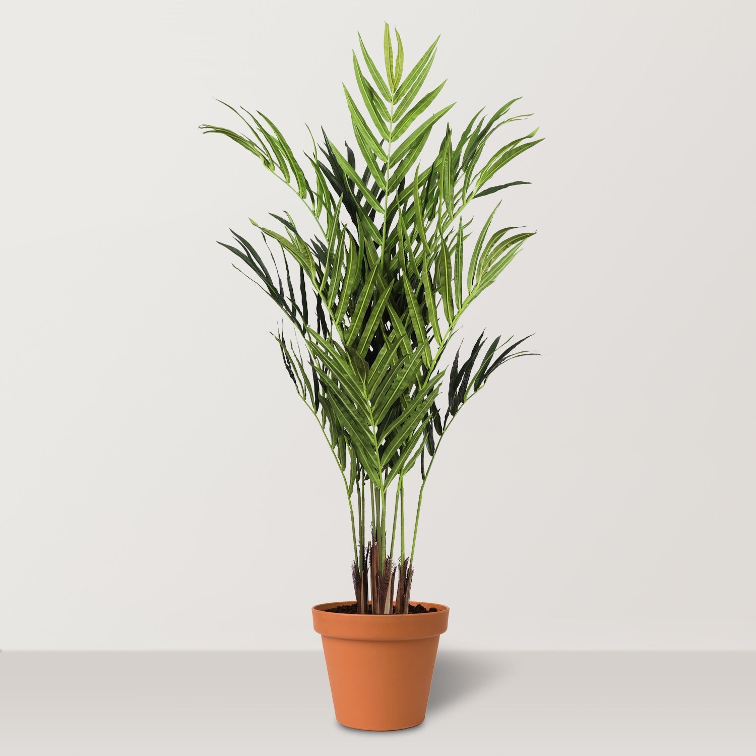 Artificial Kentia Palm - Bostan Al Jazeera