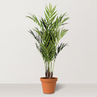 Artificial Kentia Palm - Bostan Al Jazeera