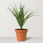 Artificial onion grass - Bostan Al Jazeera