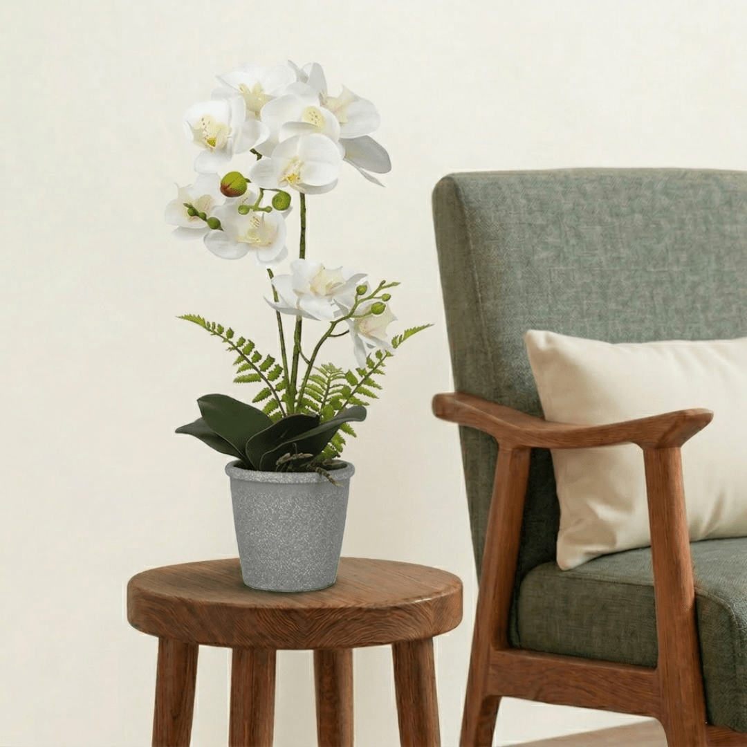 Artificial Potted Orchid - Bostan