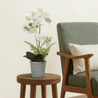 Artificial Potted Orchid - Bostan
