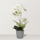 Artificial Potted Orchid - Bostan Al Jazeera