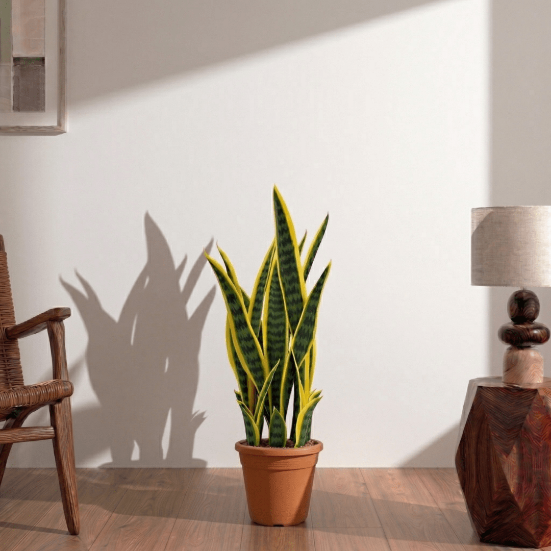 Artificial Sansevieria Trifasciata with pot - Bostan