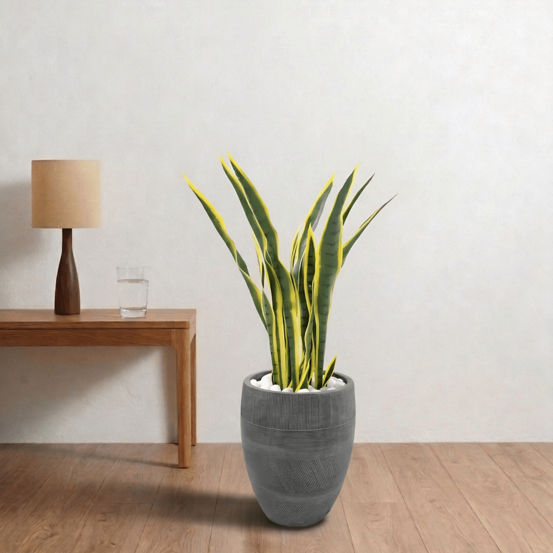 Artificial Snake Plant in Fiber Clay Pot - Bostan