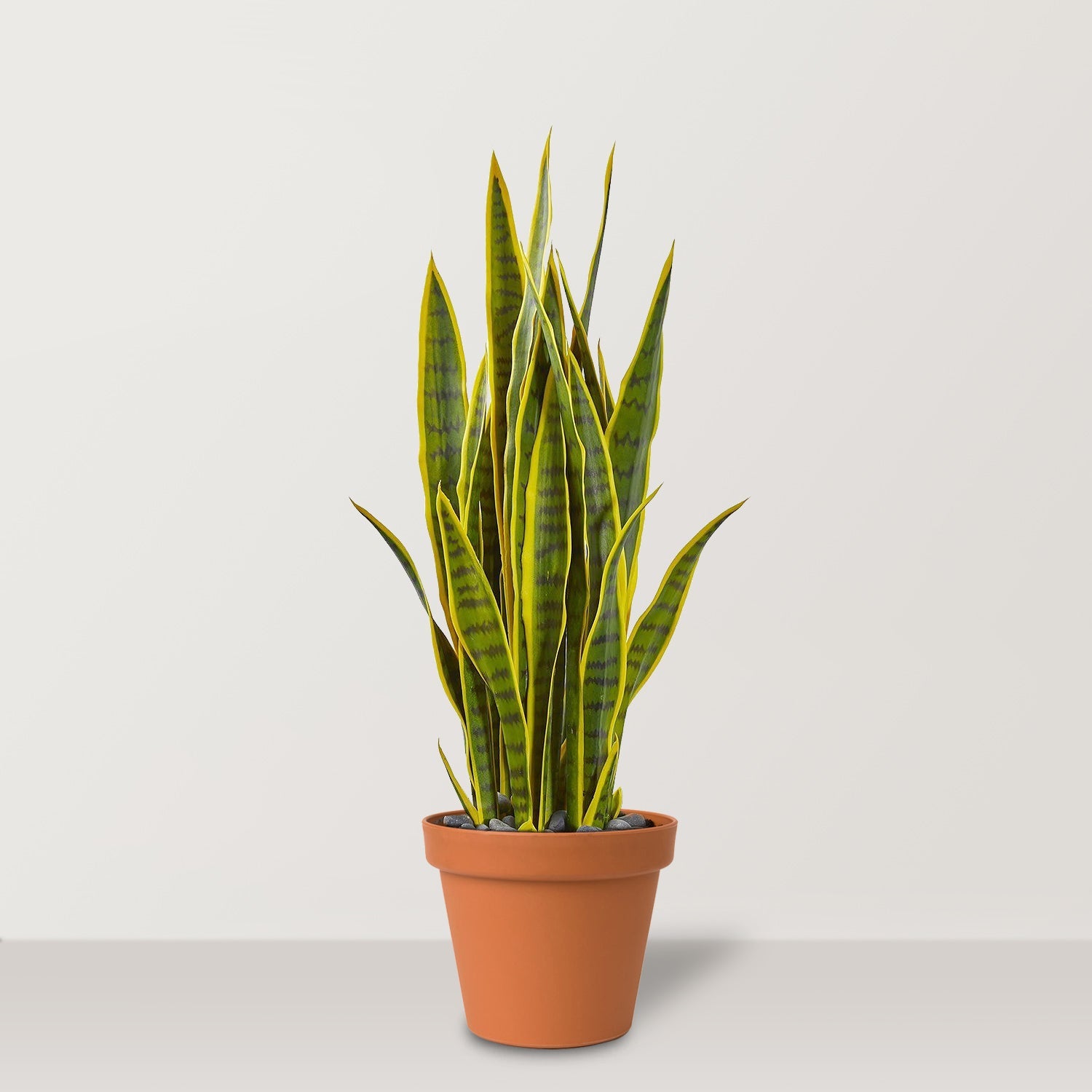 Artificial Snake Plant in Pot UV - Bostan Al Jazeera