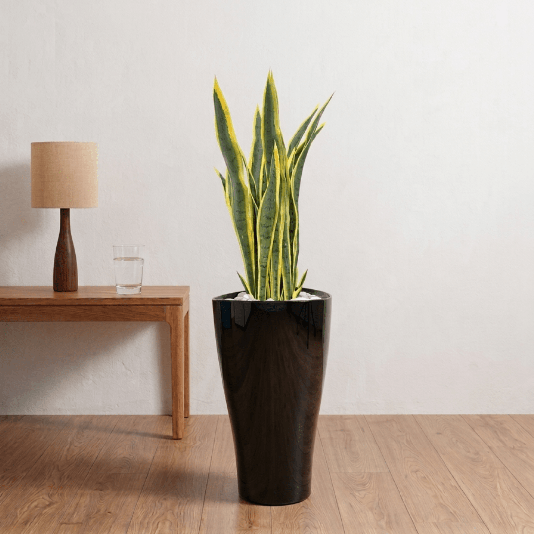 Artificial Snake Plant in VASO Pot - Bostan