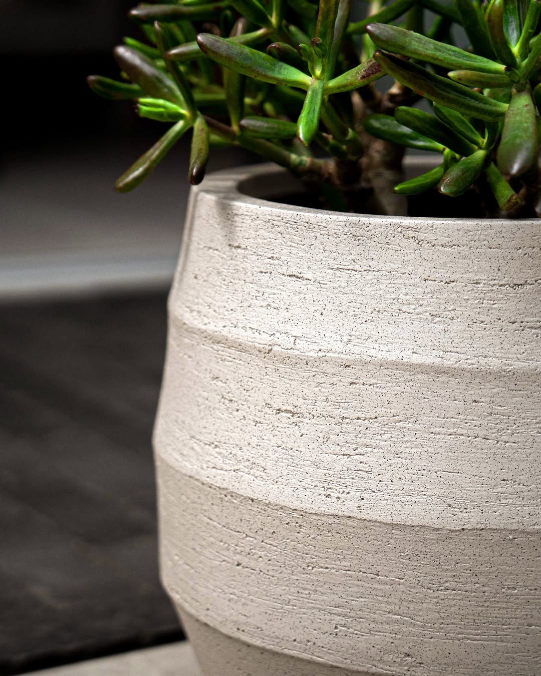 Bordo Balloon - Bostan Al Jazeera