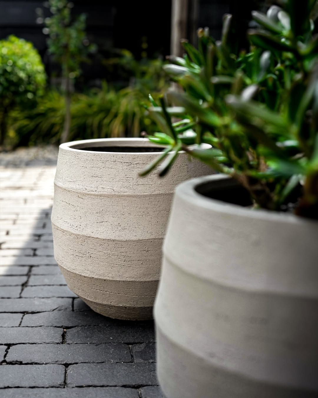 Bordo Balloon - Bostan Al Jazeera