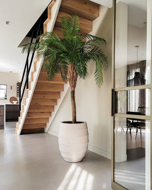 Bordo Tall Balloon - Bostan Al Jazeera