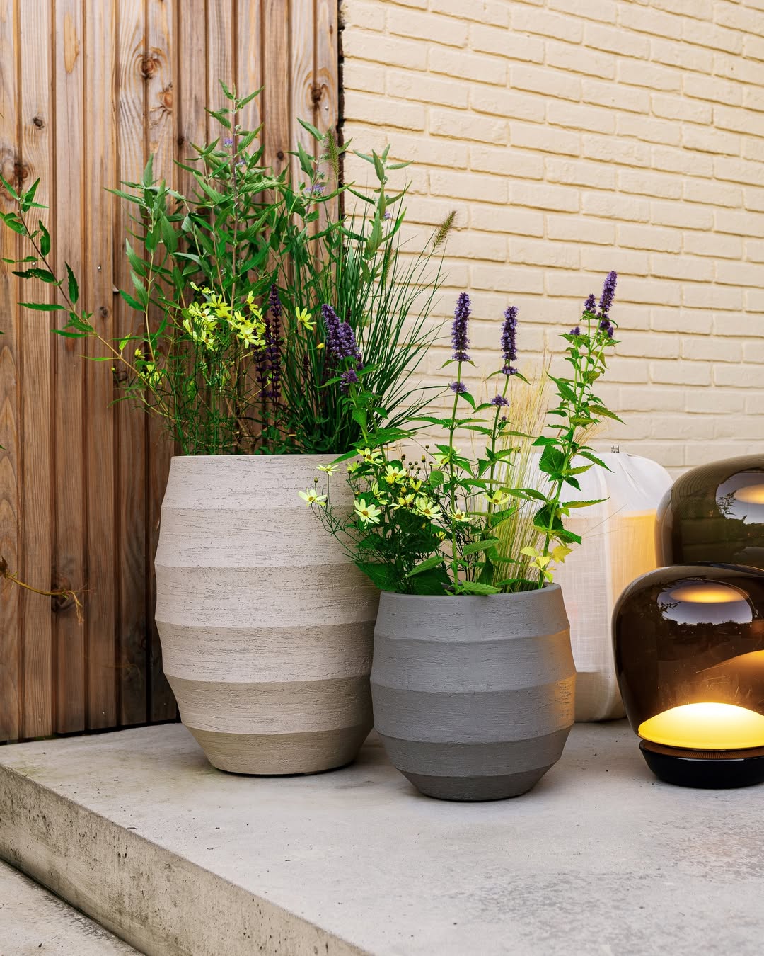 Bordo Tall Balloon - Bostan Al Jazeera