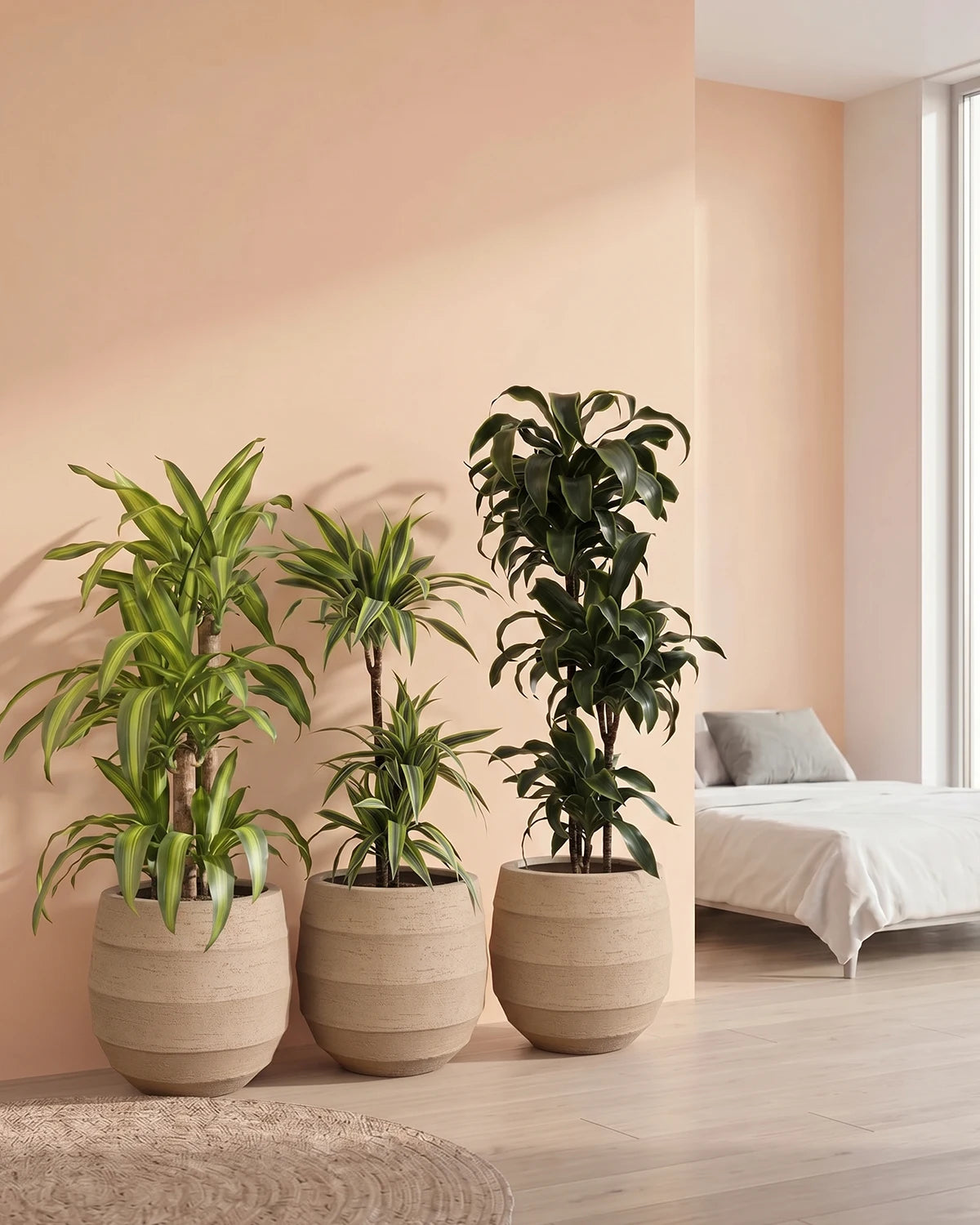 Dragon Tree Set