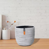 Egg Planter Rib BOFI 132 - Bostan Al Jazeera