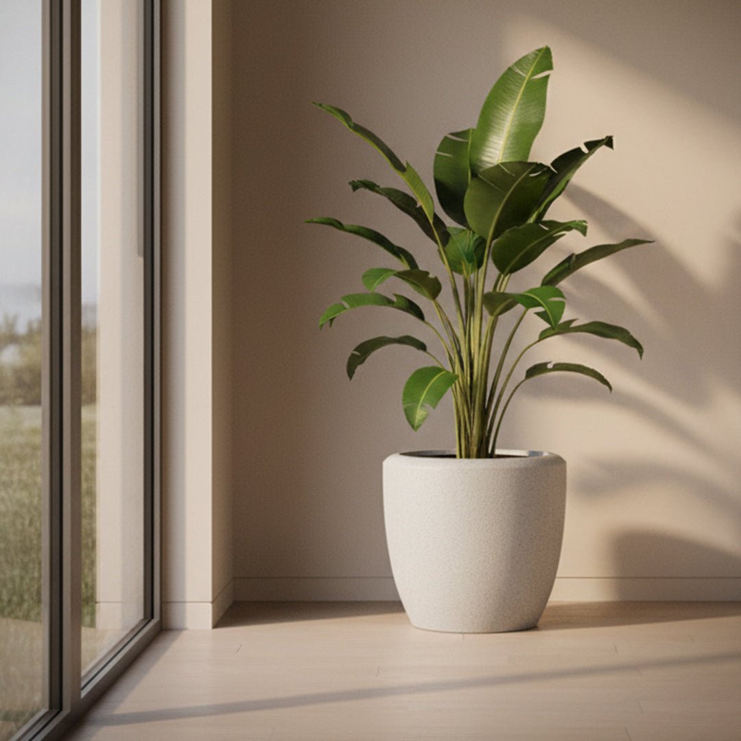 Fiberclay Pot DW158136 - Bostan Al Jazeera