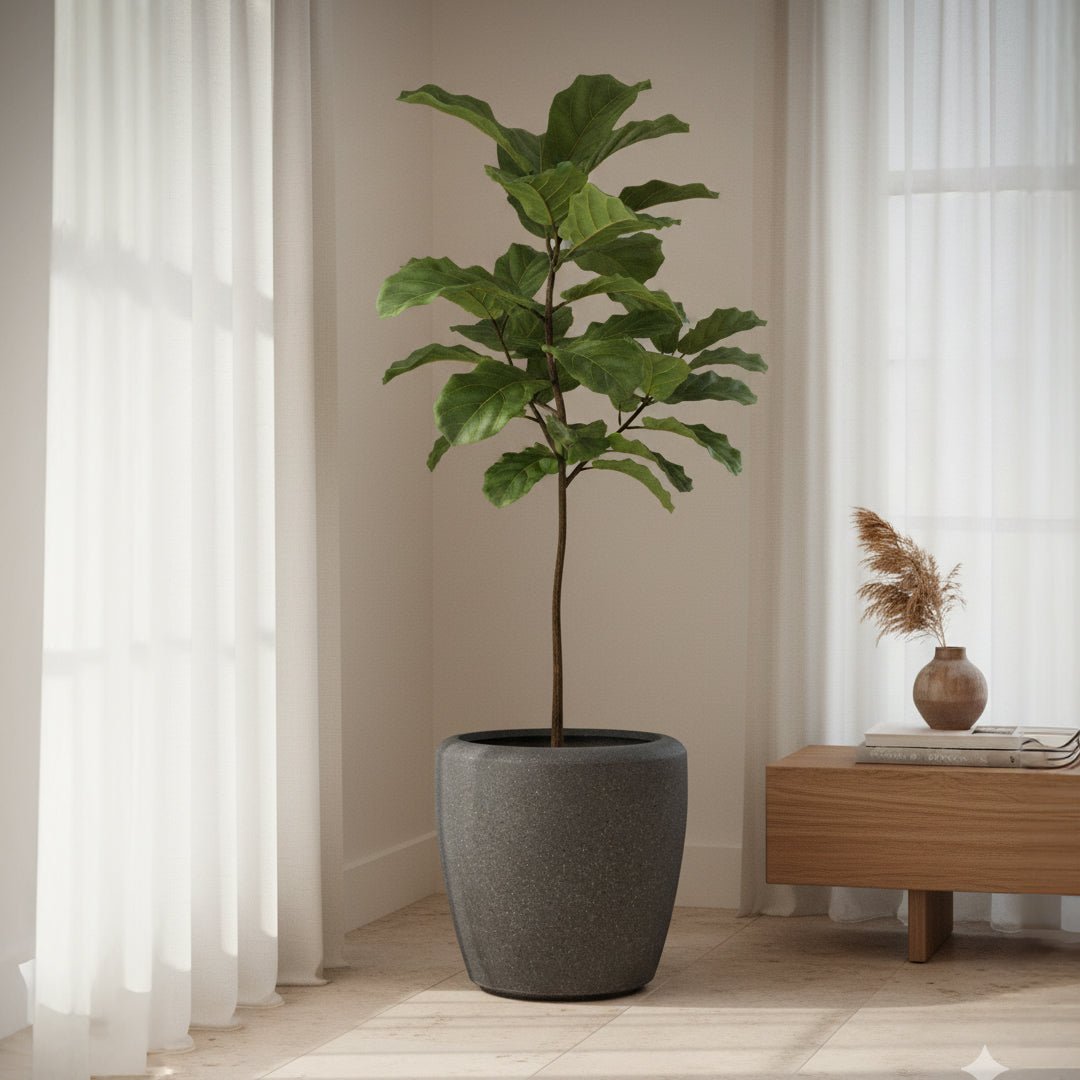 Fiberclay Pot DW158136 - Bostan Al Jazeera