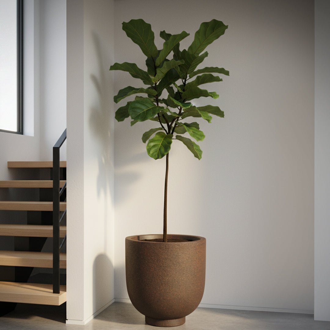 Fiberclay Pot DW161208 - Bostan Al Jazeera