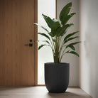 Fiberclay Pot DW161209 - Bostan Al Jazeera