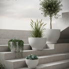 Fiberclay Pot DW209579 - Bostan Al Jazeera