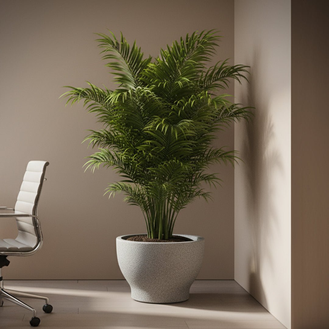 Fiberclay Pot DW209579 - Bostan Al Jazeera