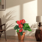 Flamingo lily (Anthurium Andraeanum) - Bostan