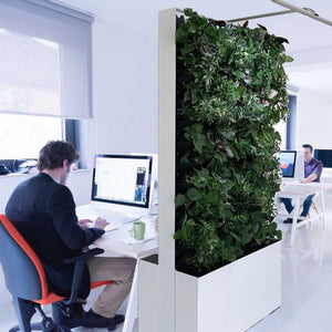 Free standing & Mobile Green Wall - Bostan Al Jazeera