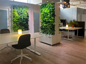 Free standing & Mobile Green Wall - Bostan Al Jazeera