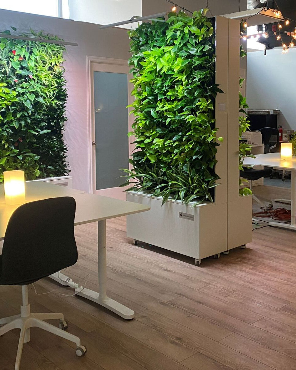 Free standing & Mobile Green Wall - Bostan Al Jazeera