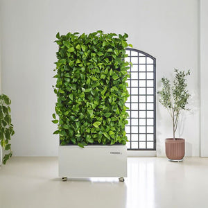 Free standing & Mobile Green Wall - Bostan Al Jazeera