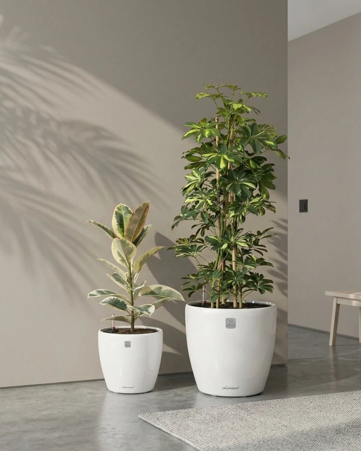 Green Living Set - Bostan
