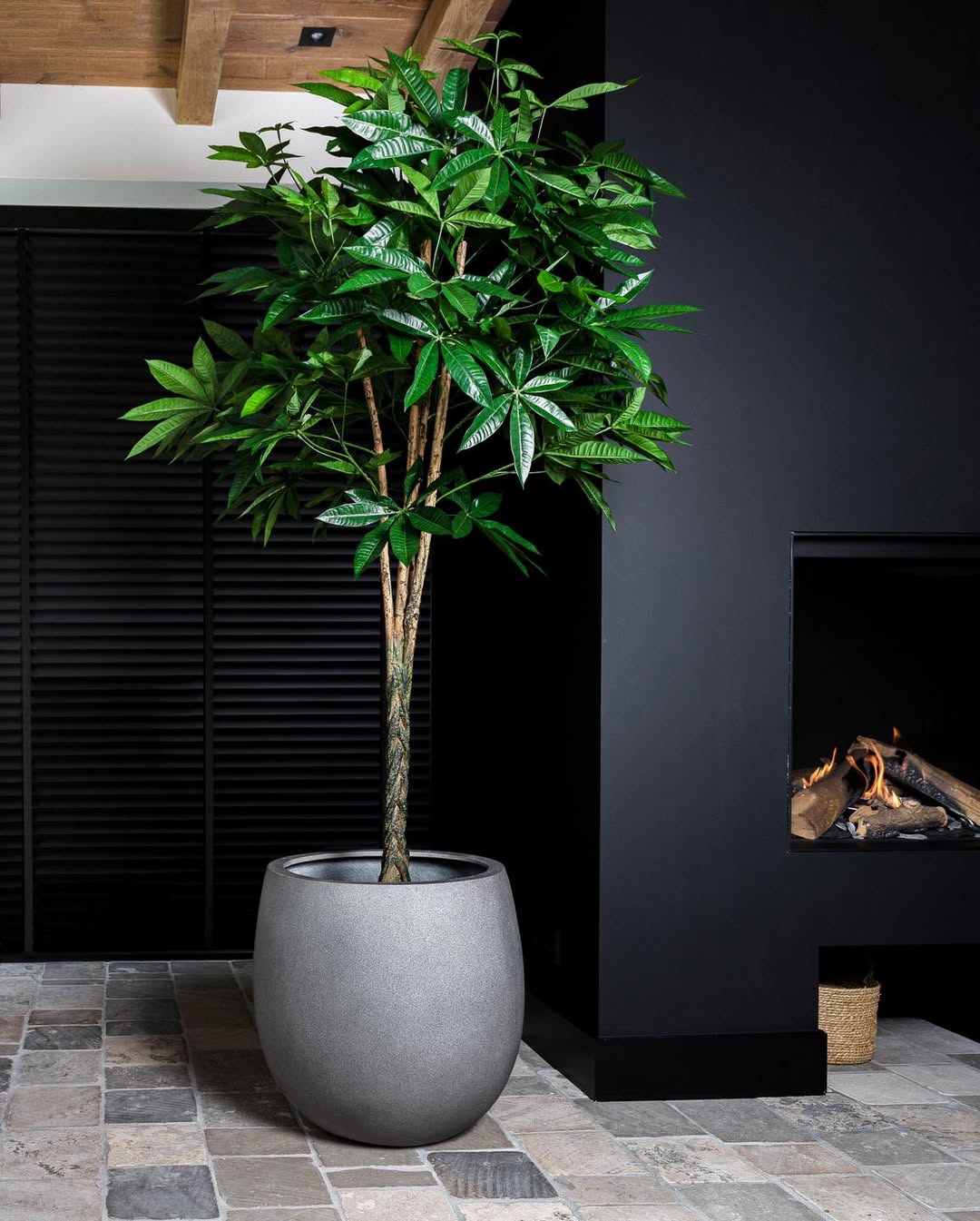 Grigio Balloon - Bostan Al Jazeera