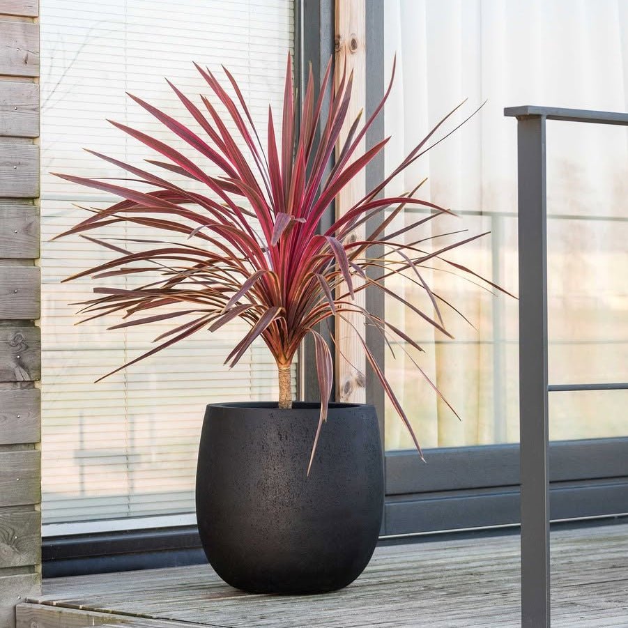 Grigio Balloon - Bostan Al Jazeera