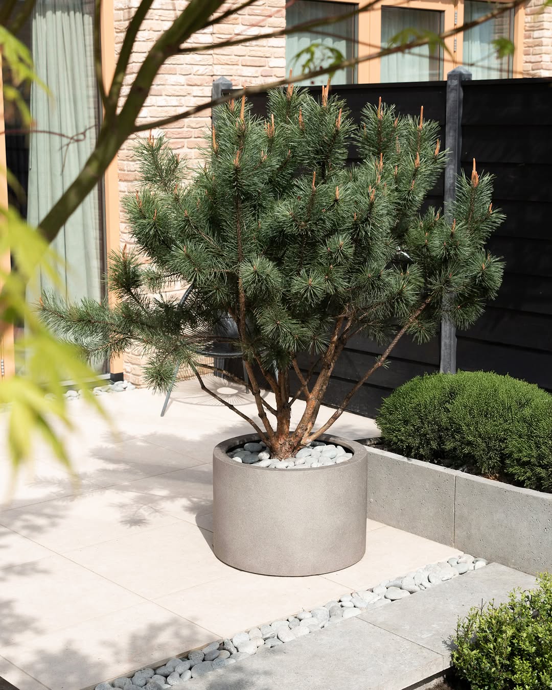 Grigio Cyllinder - Bostan Al Jazeera