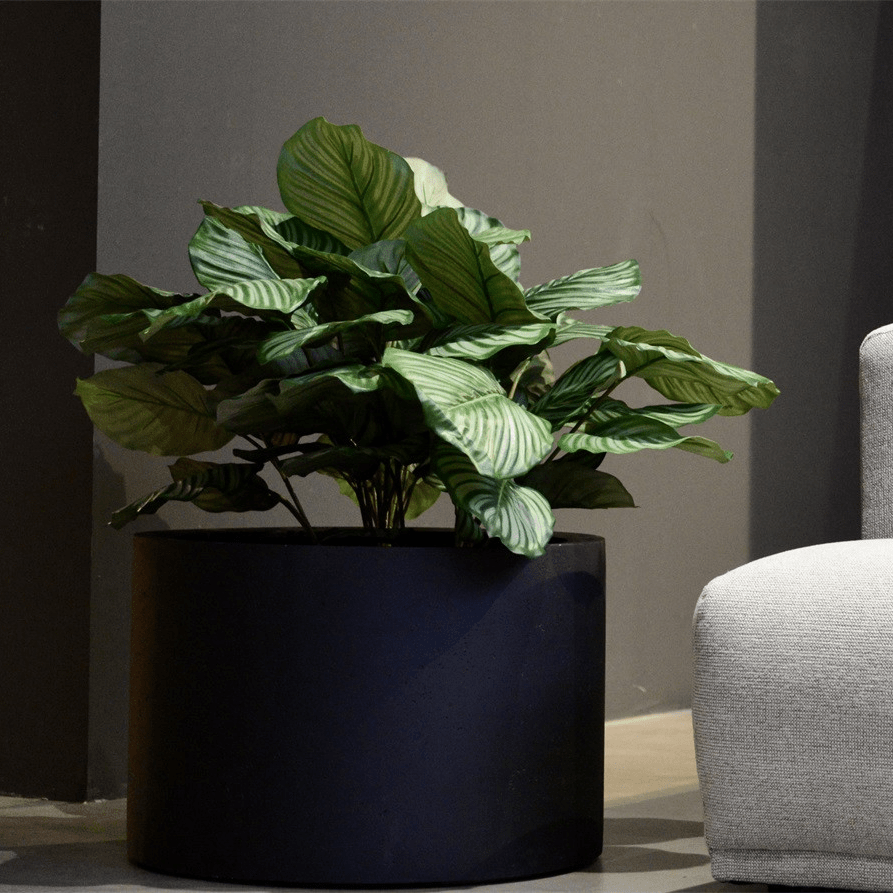 Grigio Cyllinder - Bostan Al Jazeera