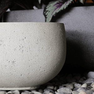 Grigio Longtail - Bostan Al Jazeera