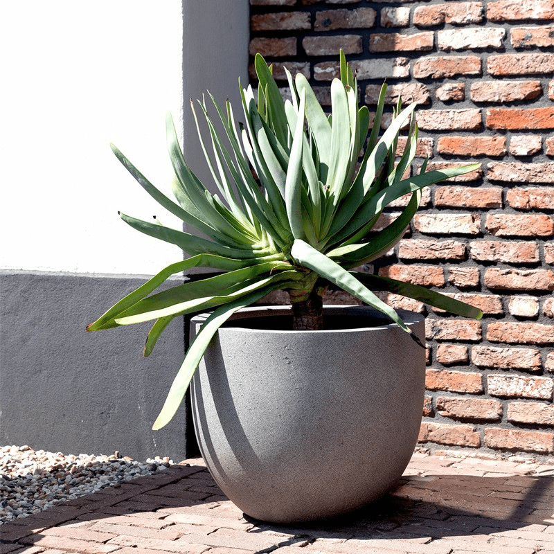 Grigio New Egg Pot - Bostan Al Jazeera