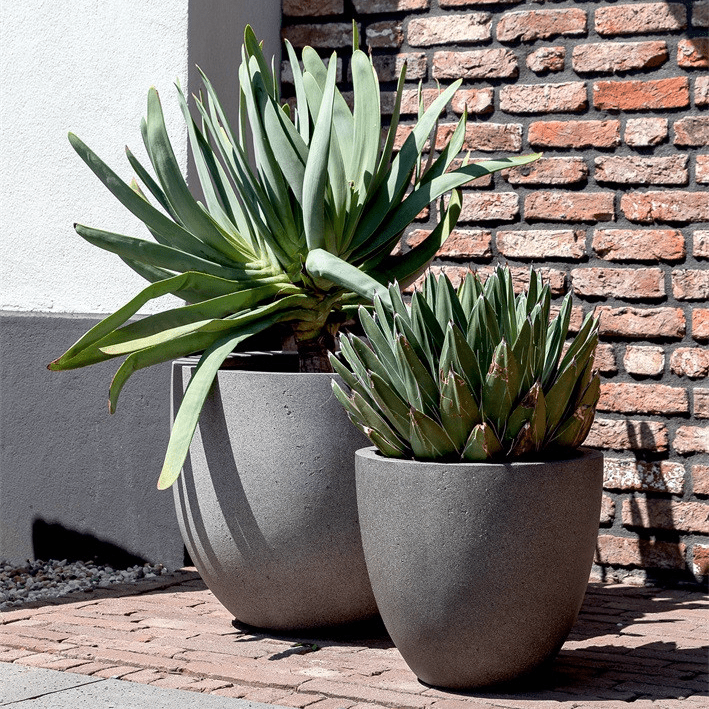 Grigio New Egg Pot - Bostan Al Jazeera