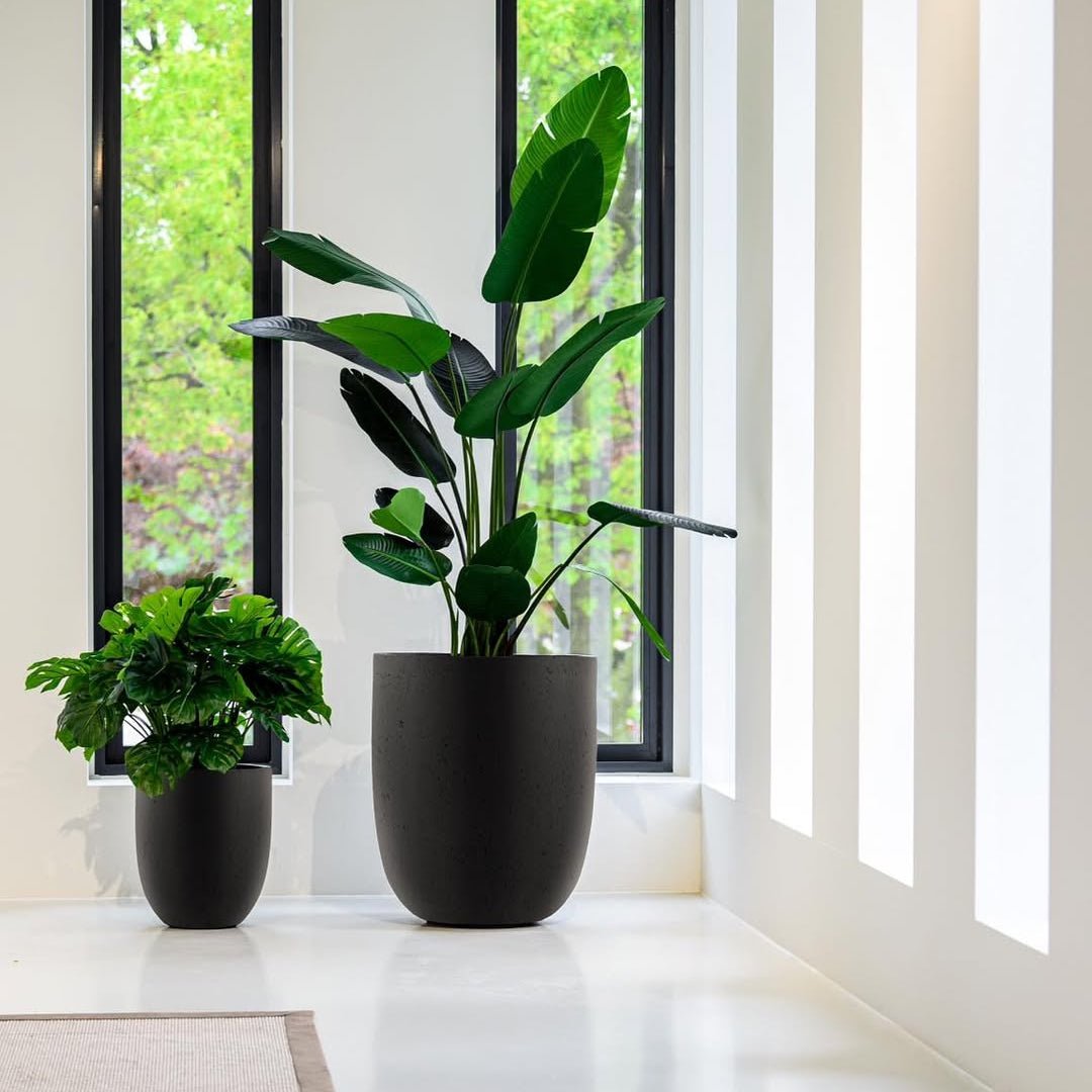 Grigio Tall Egg Pot - Bostan Al Jazeera