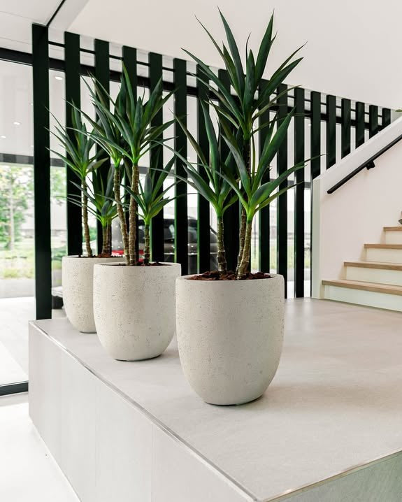 Grigio Tall Egg Pot - Bostan Al Jazeera
