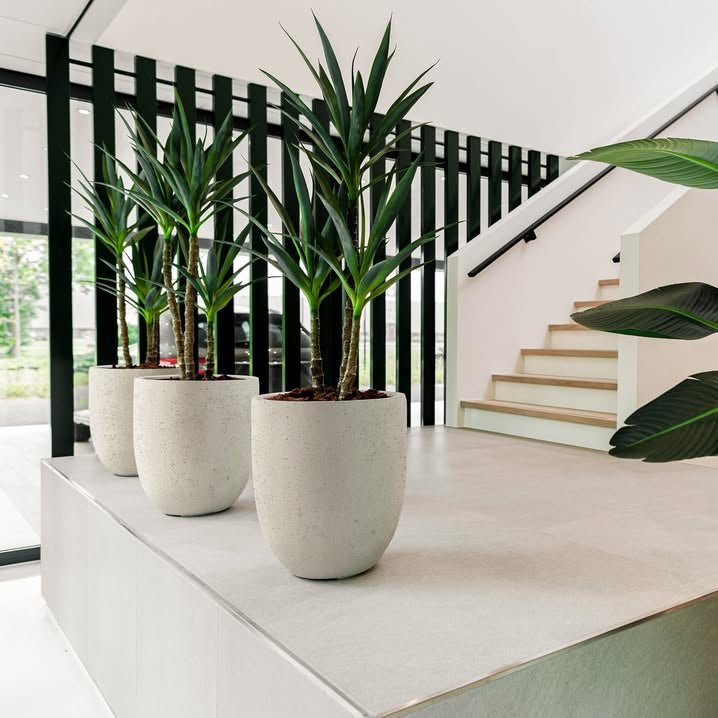 Grigio Tall Egg Pot - Bostan Al Jazeera