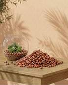 Hydrostone (clay pebble) - Bostan