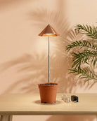 iSUN Pole Grow Light - Bostan