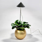 iSUN Pole Grow Light - Bostan Al Jazeera