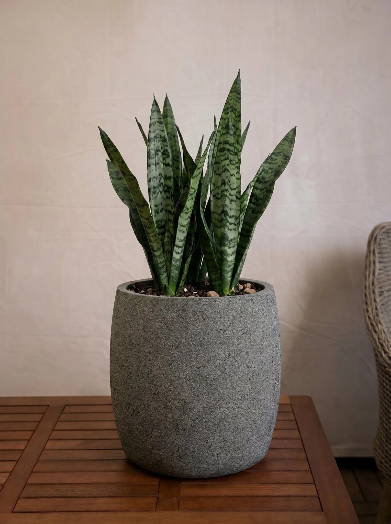 Luca Lifestyle Grigio Modern Pot - Bostan