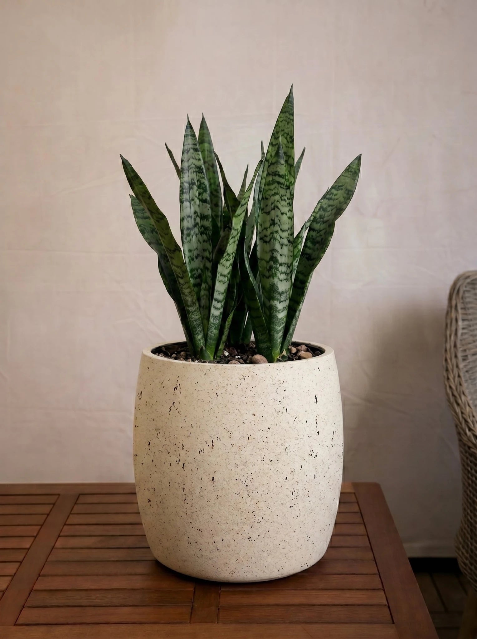 Luca Lifestyle Grigio Modern Pot - Bostan