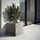 Luca Struttura Cube F5303 - Bostan Al Jazeera