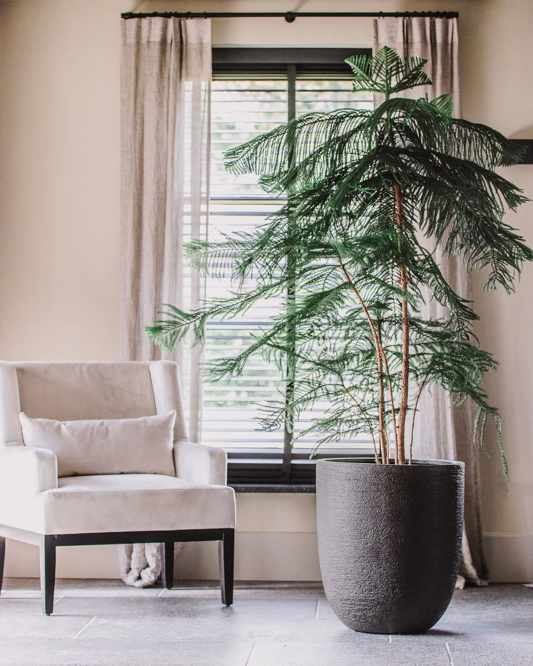 Luca Struttura Tall Egg Pot F5062 - Bostan Al Jazeera