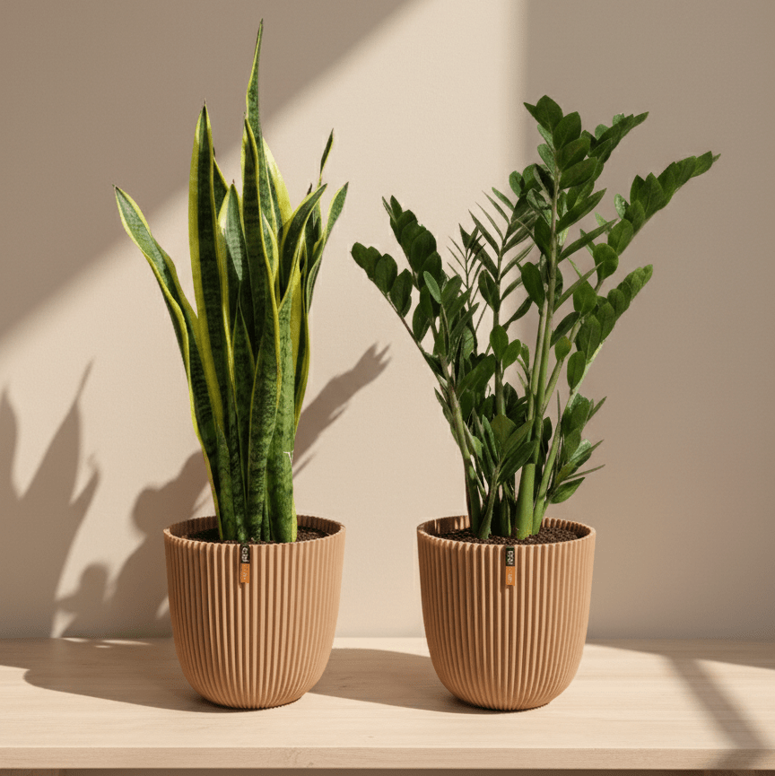 Medium Beginner Set - Bostan Al Jazeera