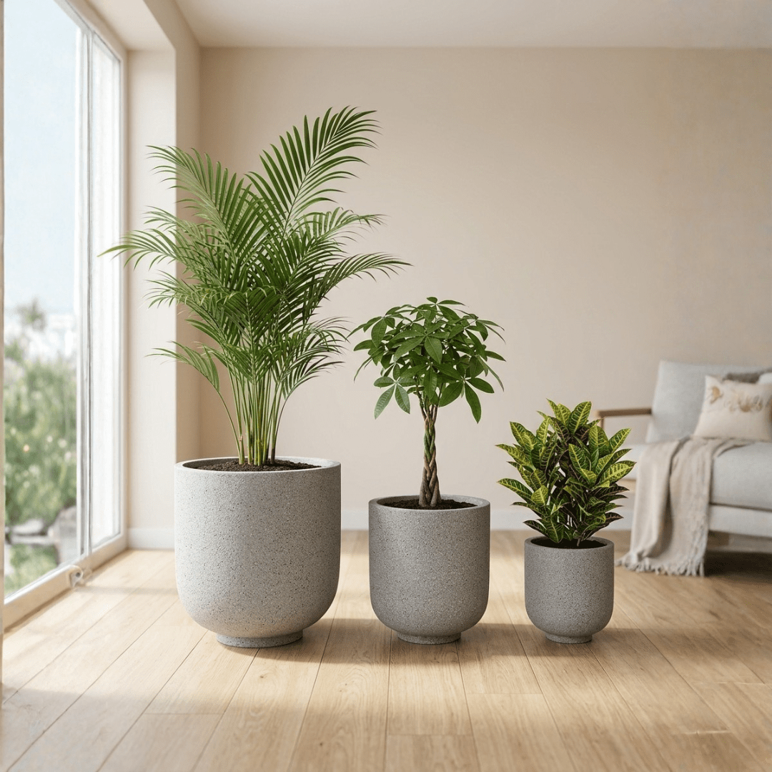 Pet Friendly Trio - Bostan Al Jazeera